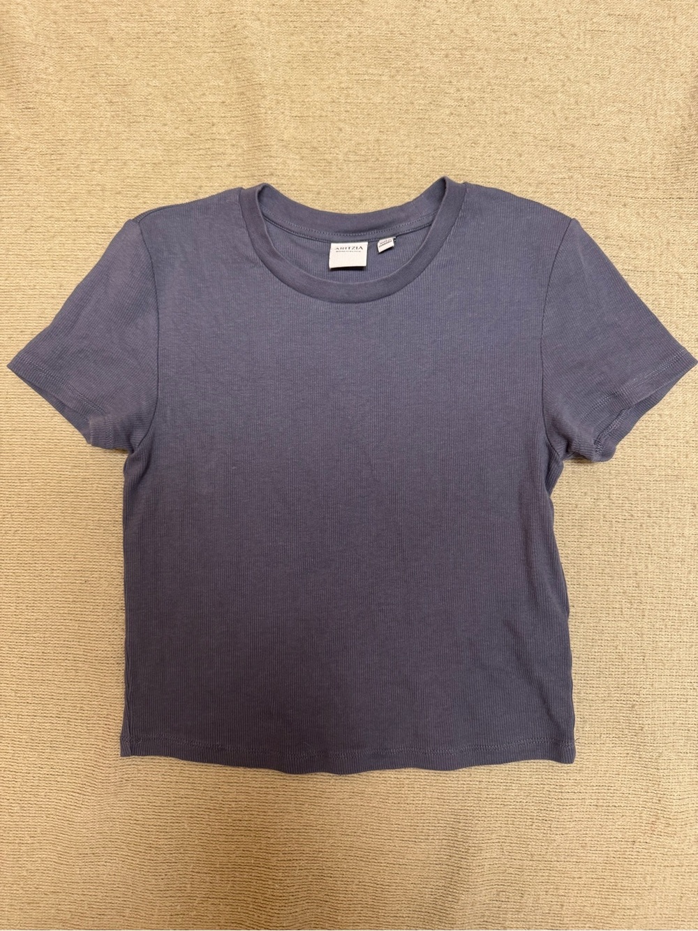 Aritzia HomeStretch Rib Tune Waist T-Shirt